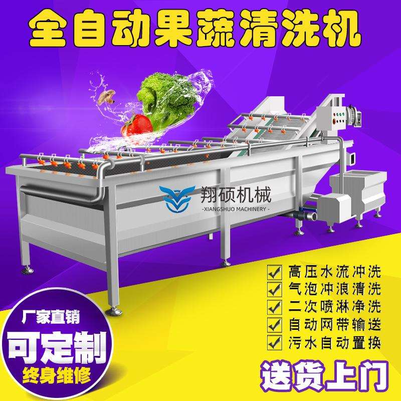 翔硕供应商用全自动黄桃清洗机 大型翻浪式高压气泡清洗流水线