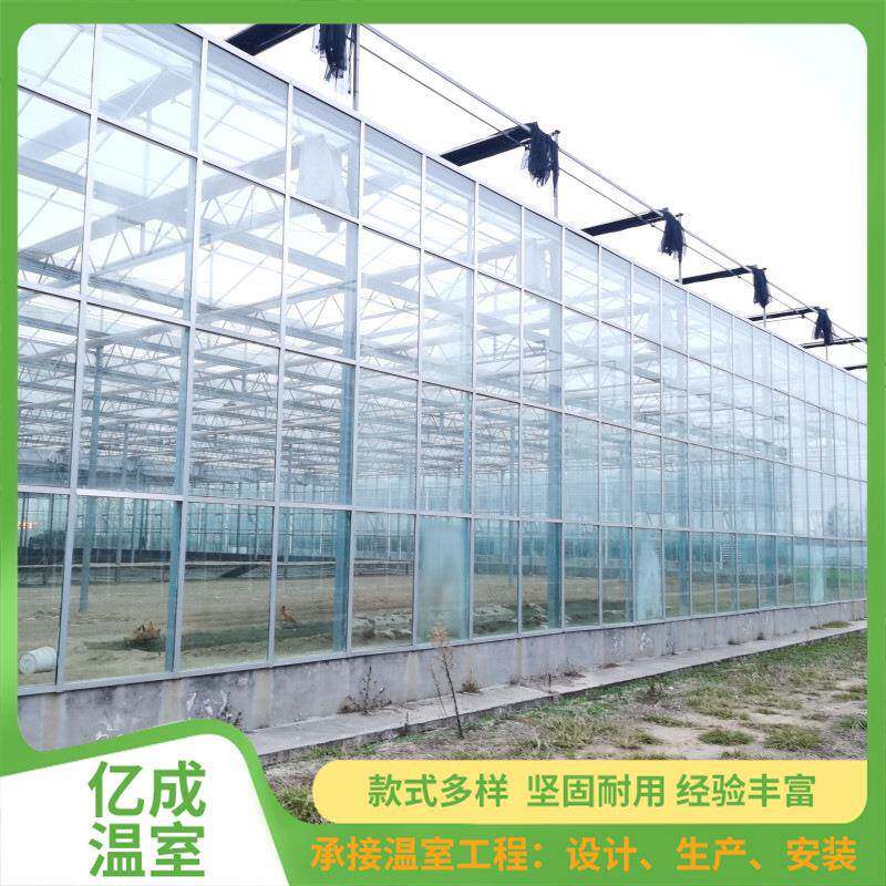 新型连栋温室大棚观光种植大棚建设农业种植蔬菜大棚玻璃温室
