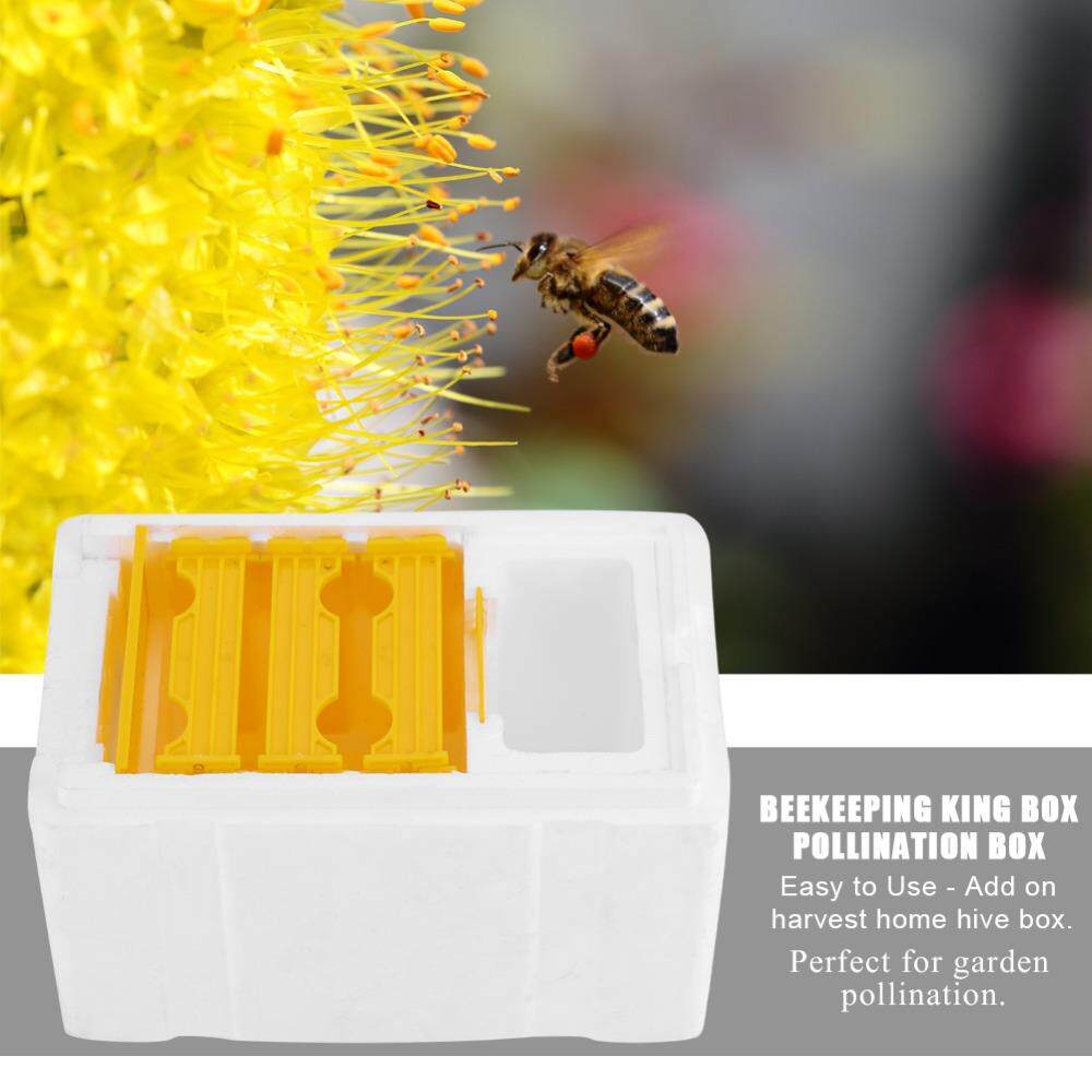 养蜂工具泡沫蜂箱蜜蜂交尾箱蜜蜂育王箱授粉箱套装