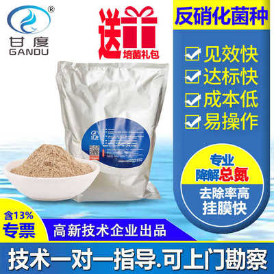 甘度污水处理菌种降总氮反硝化菌种剂厌缺氧池专用菌剂厌氧菌剂泥