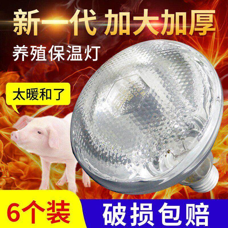 保温灯泡养殖猪用取暖灯仔猪小猪小鸡鸭育雏保暖烤灯养殖场专用灯,畜牧/养殖物资,畜牧/养殖器械,淘宝优惠券,粉丝福利购,淘宝优惠卷