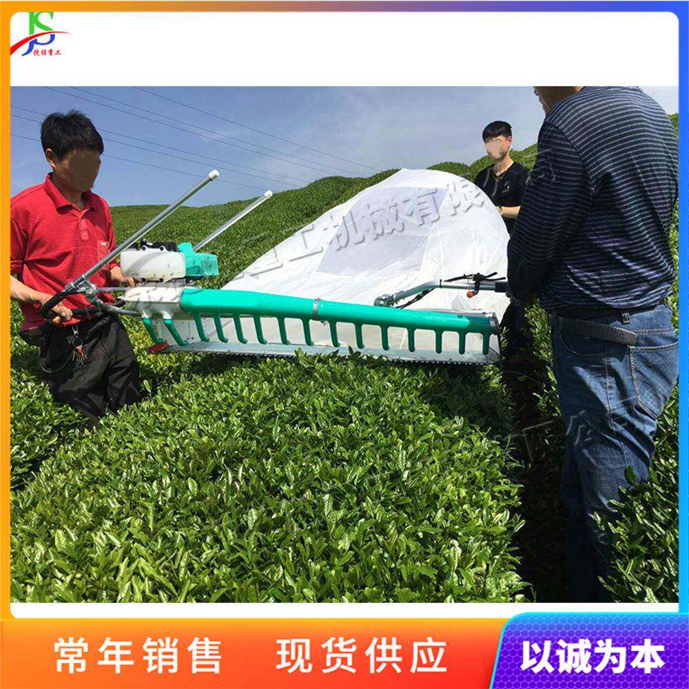 农业茶园小型单人双人采摘机械茶叶汽油修剪机割草机绿篱机