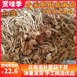 新鲜农家茶树菇干货不开伞骨朵，茶薪菇250g非特级香菇蘑42.6元500g