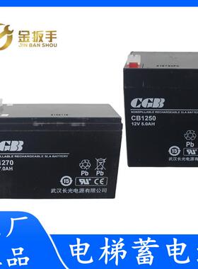 杭西奥电梯救援装置蓄电池松闸电源CGB武汉长光CB1250/1270/1240