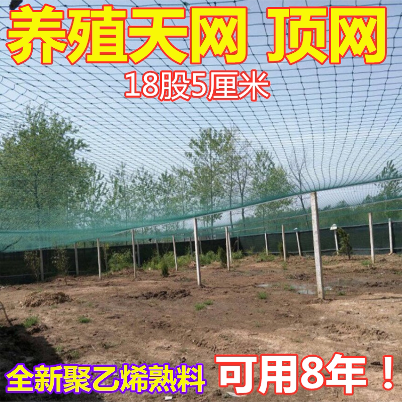 养殖网天网养鸡网防鸟顶网围栏防护网菜园耐用户外拦鸡防逃网