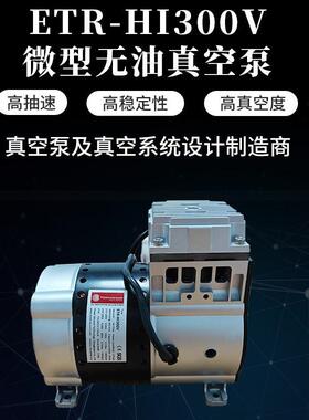 直销微型无油真空泵ETR微型泵精密真空泵真空机组