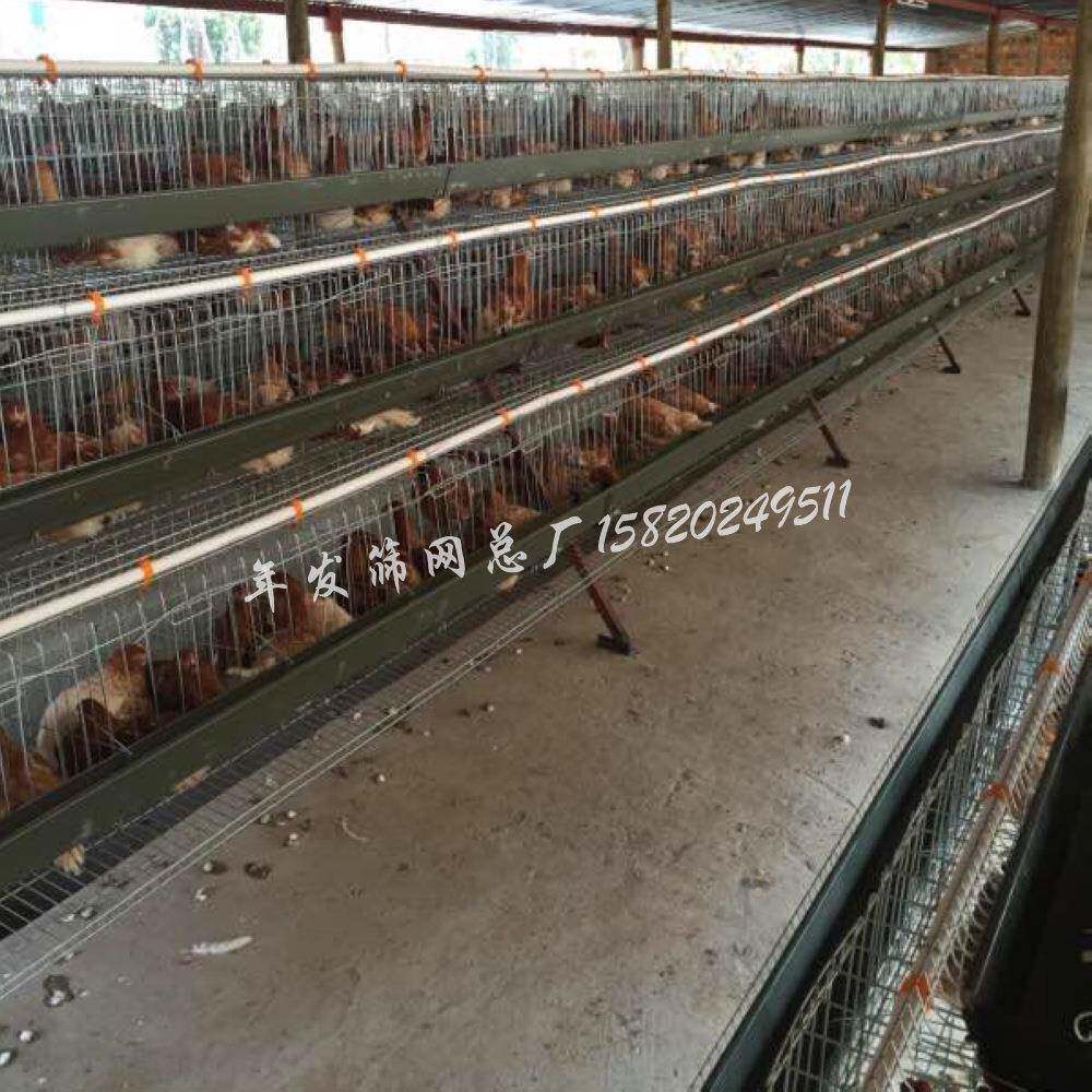 厂家直销镀锌阶梯式蛋鸡养殖笼具圈养蛋鸡铁丝网笼