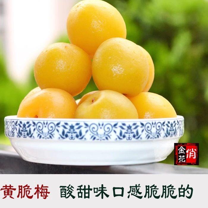 云南大理特产俏金花酸甜脆梅黄脆梅500g梅子话梅青梅零食蜜饯果脯