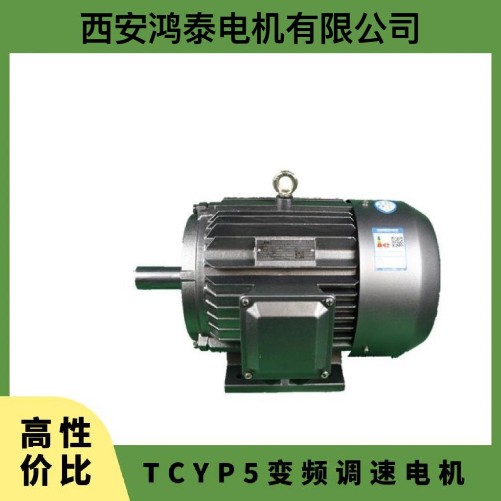 鸿泰变频调速电机TCYP5-132M1-2t15Wt380V 运行平稳 型号齐全
