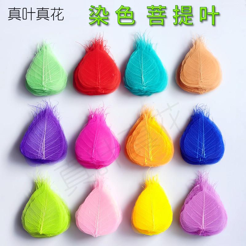 真叶真花天然树叶菩提叶脉染色彩色儿童学生DIY手工材料干燥花贴