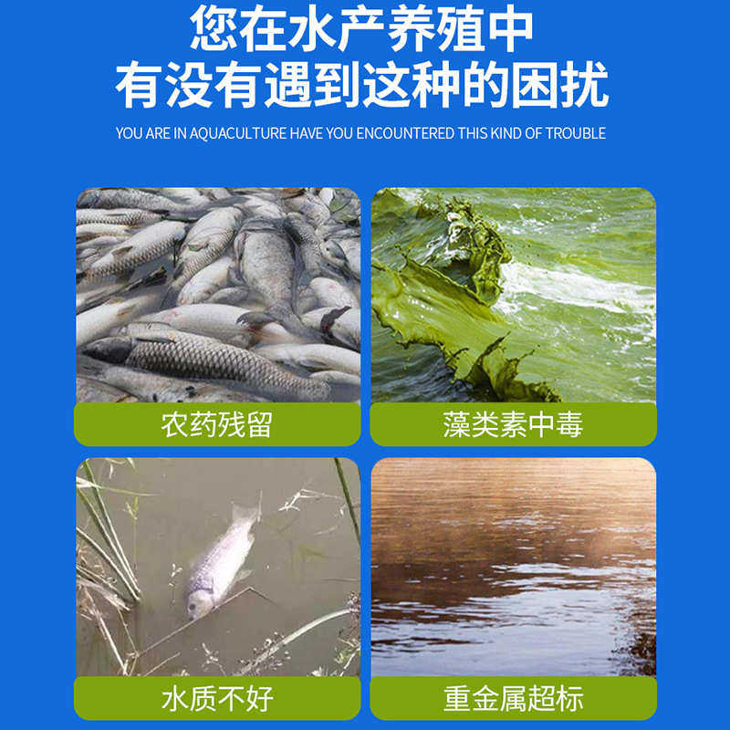 碧水安泡腾片水产养殖有机酸去油膜解死藻净水鱼虾蟹塘调水净水,宠物/宠物食品及用品,其他益生菌,淘宝优惠券,粉丝福利购,淘宝优惠卷