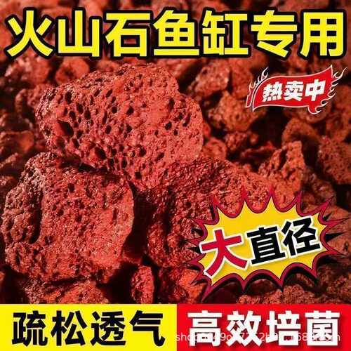 火山石大量现货 兰花土专用透气园林园艺鱼缸造景污水处理专用火