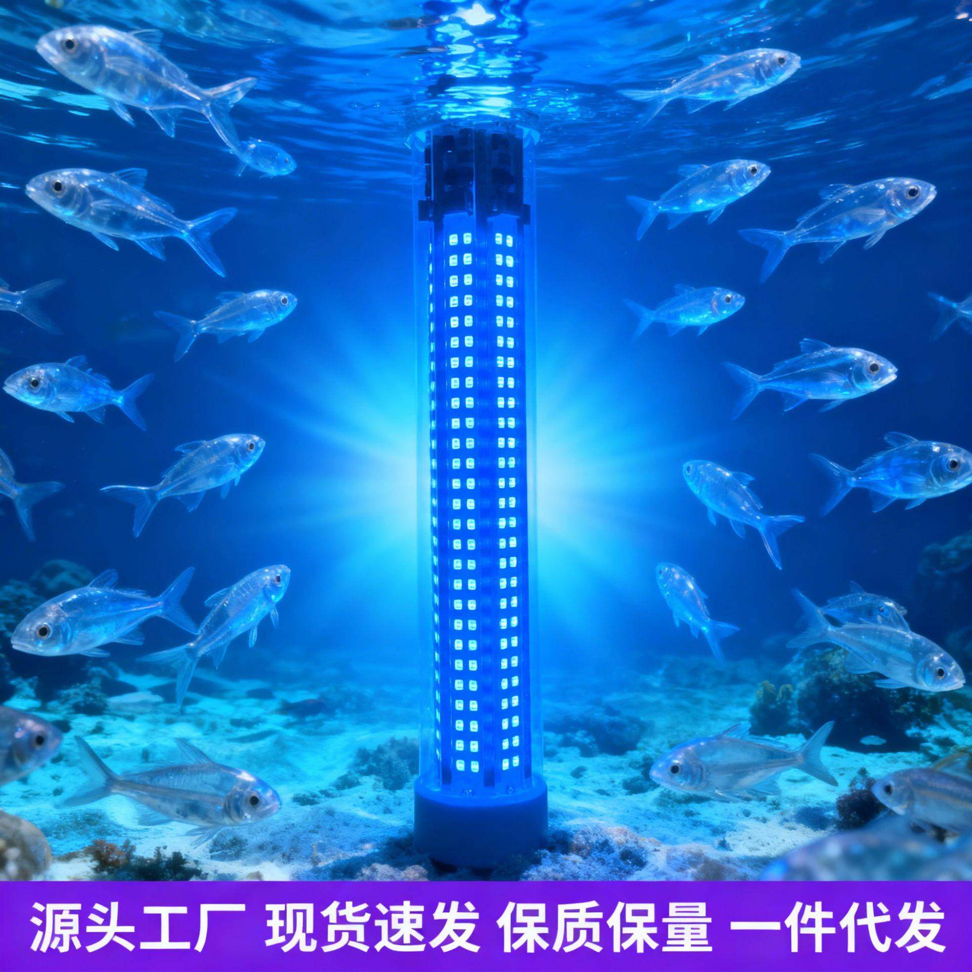 12-24V高亮大功率50W户外IP68防水LED诱鱼灯集鱼灯水下灯快速聚鱼
