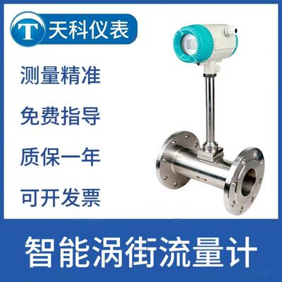 蒸汽涡街流量计温锅炉热式气体质量流量仪表压缩空气精度