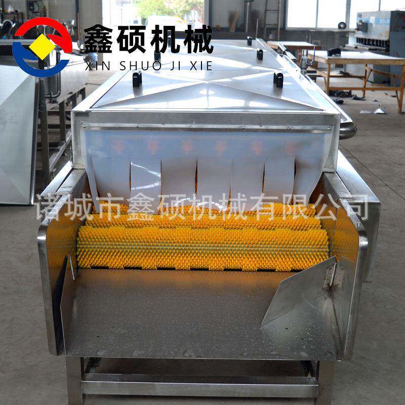海蛎子清洗机4000型大姜山药清洗去皮机海螺扇贝平行毛辊清洗机