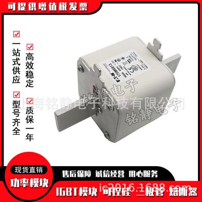 170M6748 170M6749型号齐全170M6750 170M6751巴斯曼熔断器现货