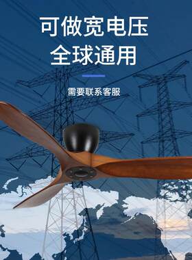 家用复古实木吊户外防扇阳光房凉风扇灯无亭灯4水款室外装饰电扇
