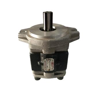 台励福叉车配件2 L025C 3吨FD30齿轮泵液压泵SGP1A32