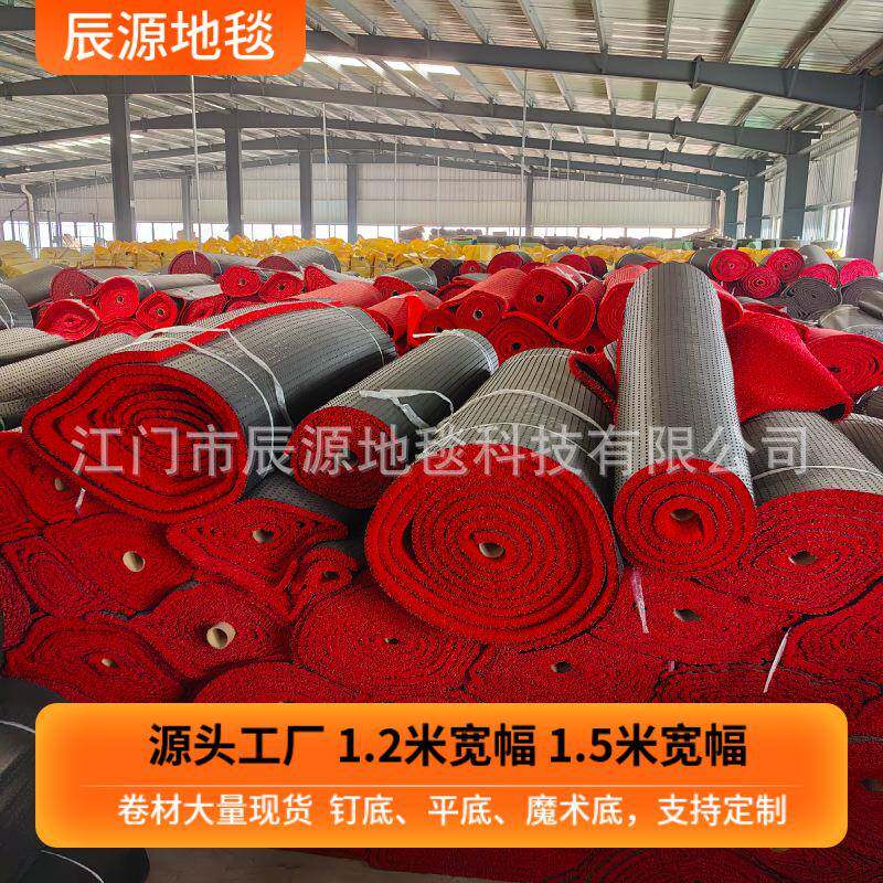 加密pvc丝圈地毯喷丝卷材汽车脚垫通用入户门口垫防滑垫玄关通道