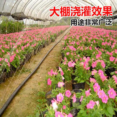 市下微喷带 滴灌带 滴管 浇水管 雾管节水喷灌带软管带喷水带大棚