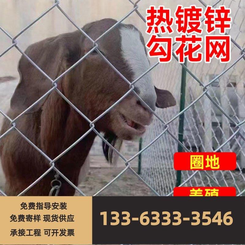 热镀锌勾花网铁丝网养鸡网养殖网隔离网养狗养羊网防锈加粗钢丝网
