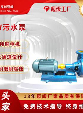 耐腐蚀污水泵PW不锈钢悬臂式离心泵单级50PWF-65卧式防爆铸铁304