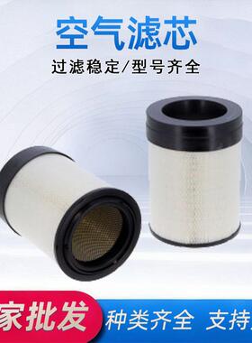 P786197WA10672X77068空气滤清器滤芯卡车机械系统空气滤芯