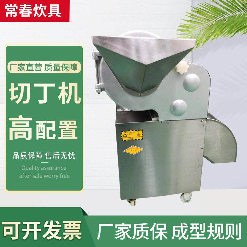 厂家切丁机100大型蔬菜水果食堂酒店用切片切丝商用切丁机