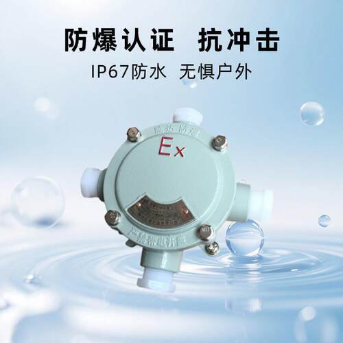 G11/4-dn32接线盒1.2寸防爆盒铸铝端子盒腾达防爆厂家粉尘防护
