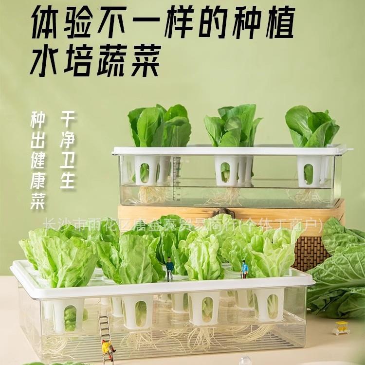 无土栽培智能花盆家庭水培蔬菜设备生菜种菜机阳台香菜水耕种植箱