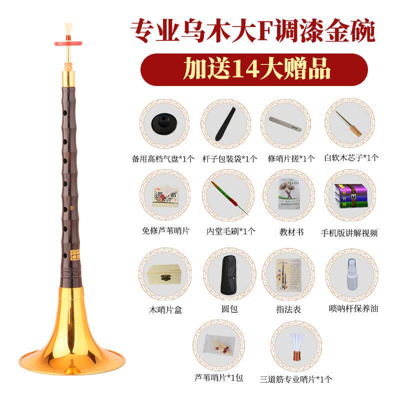 高档王镜家彪乌木D调面堂唢呐乐器学全套高级者初喇叭民族入门专
