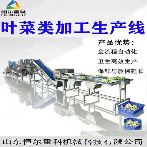 蔬菜加工食品厂气泡清洗机304气泡清洗机气泡提升机厂家