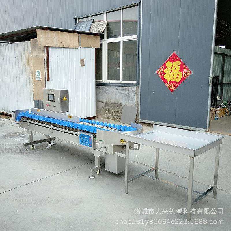 人参红薯玉米料盒式重自称动拣ZNP机鸡爪量分级机海参果蔬重分选