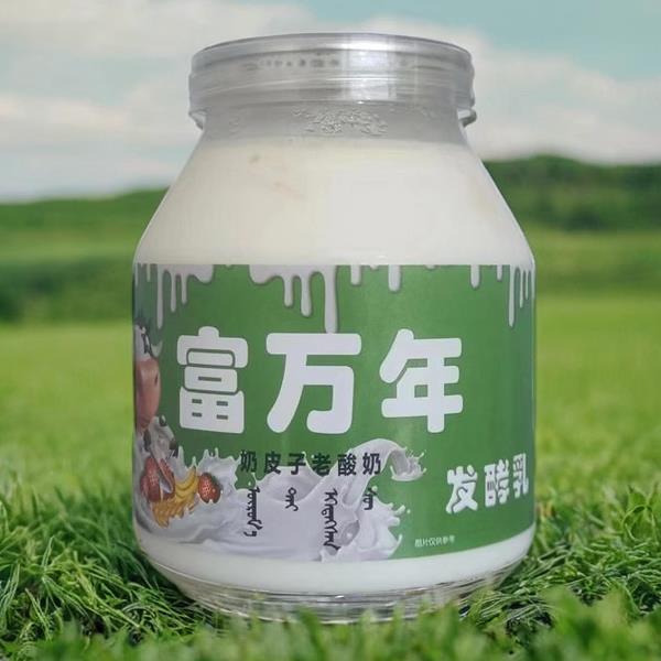 富万年奶皮子酸奶内蒙特产经典老式酸奶早餐奶奶皮酸低温酸奶小罐