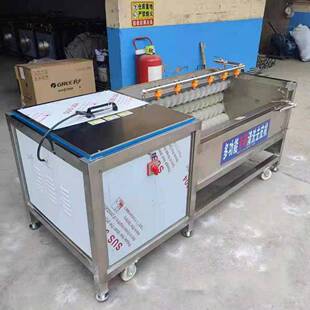 冲毛辊喷淋洗设去皮机蔬菜去皮去359洗机清洗备大姜清洗去皮器