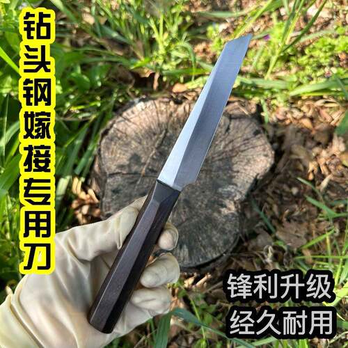 盆景果树嫁接专用刀钻头钢材质手工开 刃锋利耐用（高硬度可定制