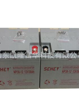 NP12-55铅酸免维护密封电池12V55ah直流屏EPS储能SEHEY西力蓄电池