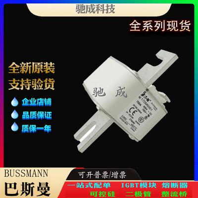 巴斯曼170M6060 170M6061 170M6062 加工制作零售 快速保险丝
