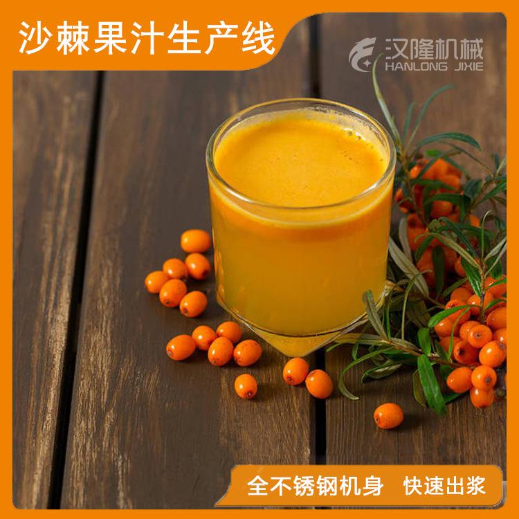 厂家直销沙棘果原汁清汁浓缩汁果酱饮料沙棘果破碎榨汁打浆生产线