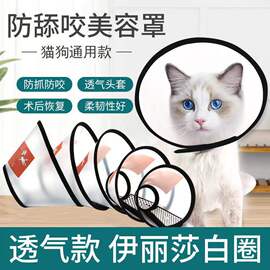 伊丽莎白圈猫咪小狗狗项圈宠物脖圈围脖头套防咬防舔绝育用品大全