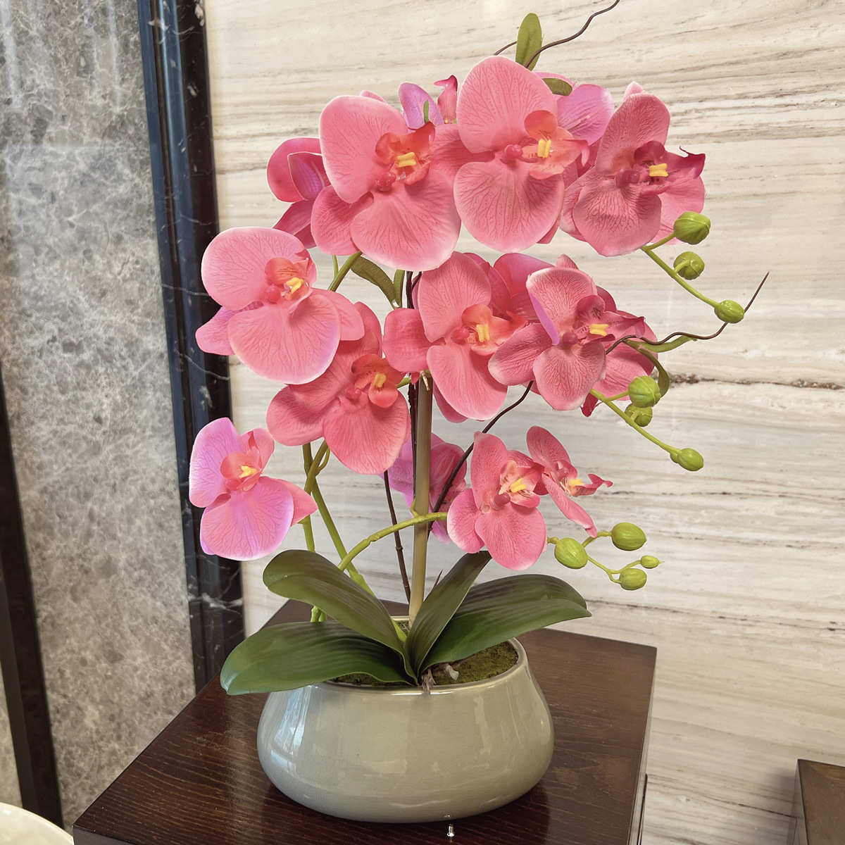 过花盆植物蝴蝶兰胶 盆栽家居装饰假盆栽摆件 手感仿真景绢花批发图片
