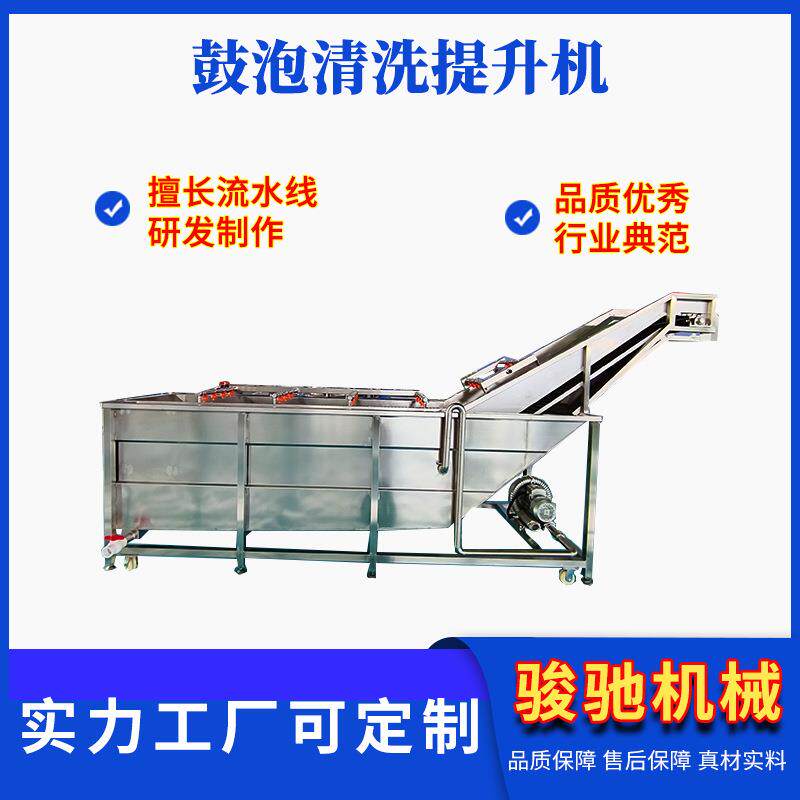 娃娃菜气泡清洗机提升式果蔬清洗机器黄瓜翻浪清洗设备厂家直供