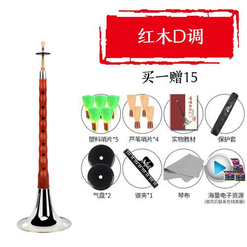 正品乌木黑檀木唢呐乐ED器全套BCFG调初者老专业儿童大小学号喇叭