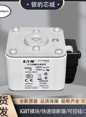 170M5458 170M5459 170M5460 170M5461 170M5462熔断器保险丝现货