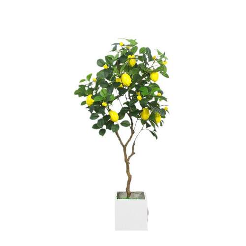 仿真柠檬树室内绿植橘子树盆栽客厅落地果子树摆件居家装饰品假树
