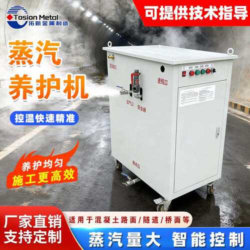 预应力混凝土蒸养机机箱桥梁养护电加热蒸汽发生器桥梁蒸汽养生机