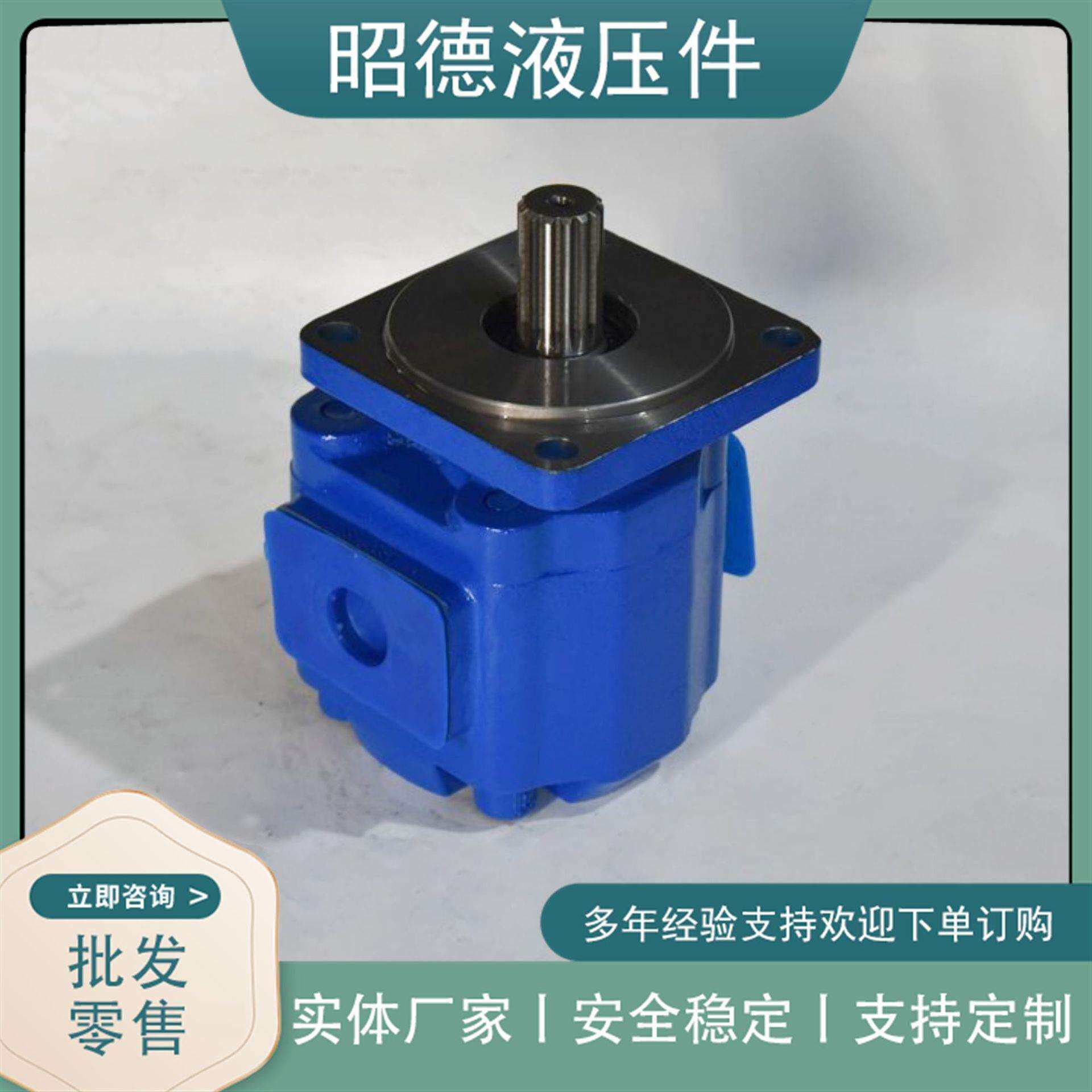 厦工11C0095装载机齿轮油泵左旋工作泵