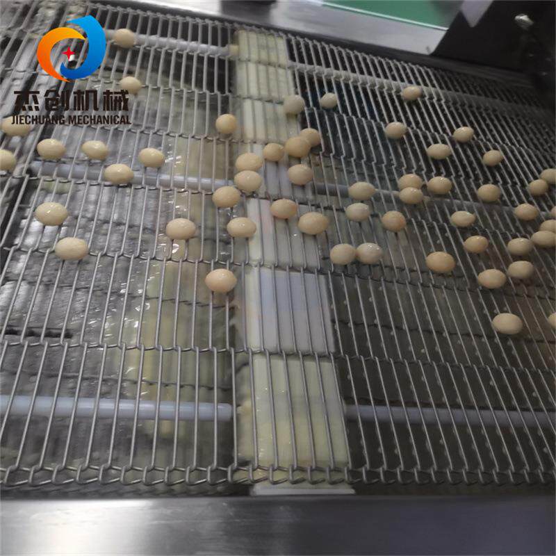 甘源夏威夷果淋巧克力机器 全自动淋酱机 坚果巧克力涂层机