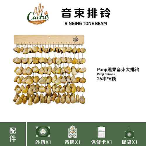 高档果手摇铃 壳果音壳排铃 想冥音乐乐器 放松自然乐打击伴奏串