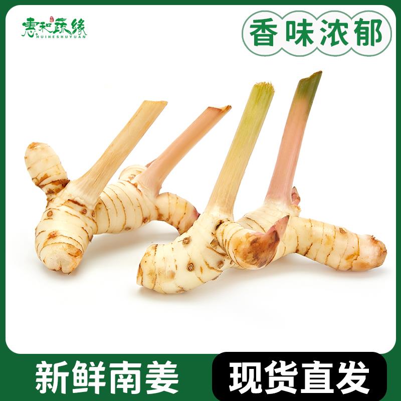 泰国品种白皮南姜新鲜良姜调味调料泰式火锅底料冬阴功食材香料菜